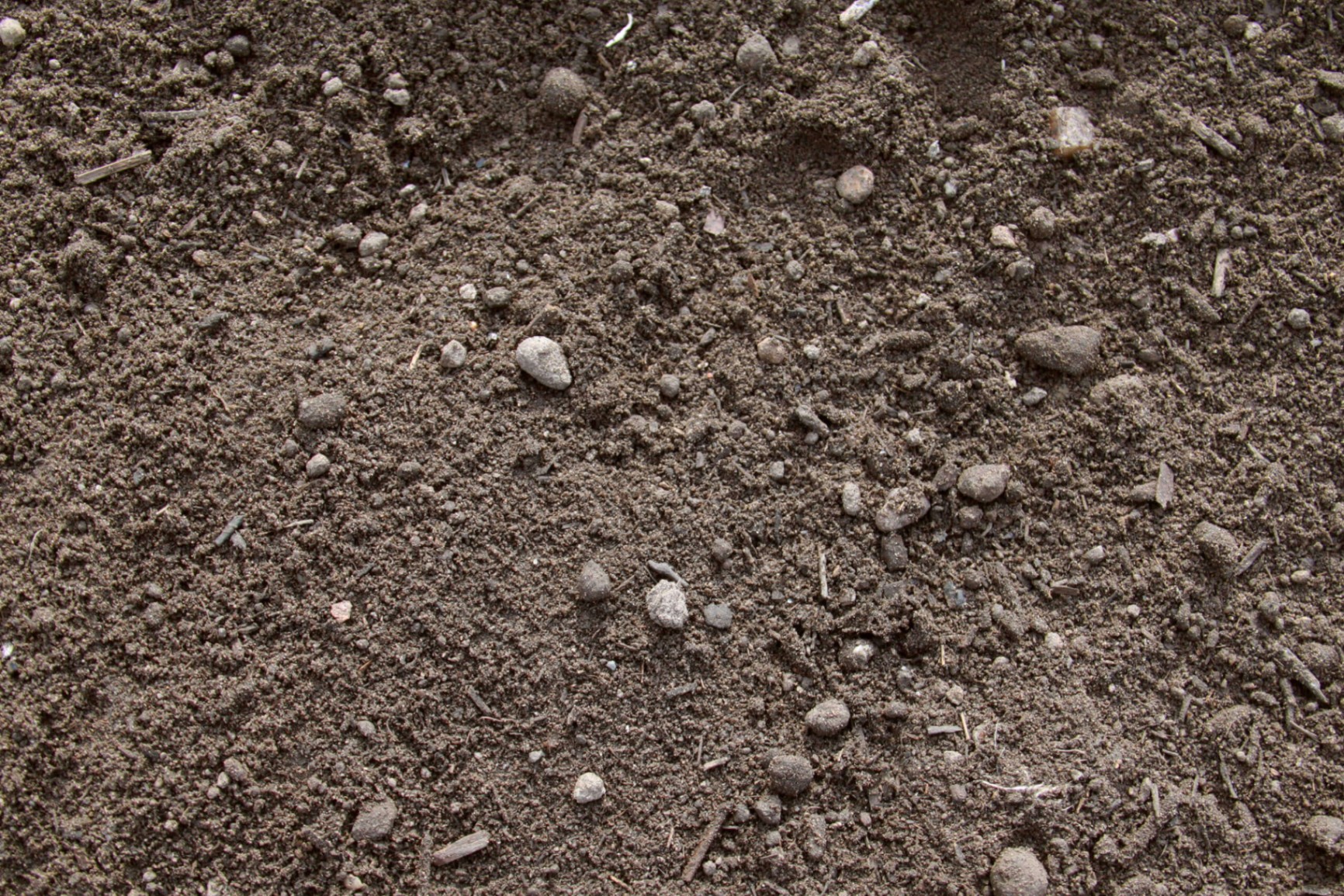 Bulk Soil Supplies